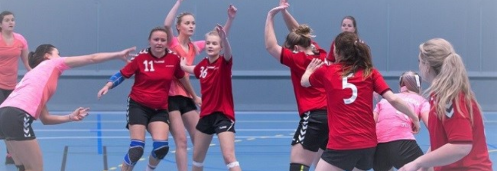 Bedriftshåndballserien i Trondheim